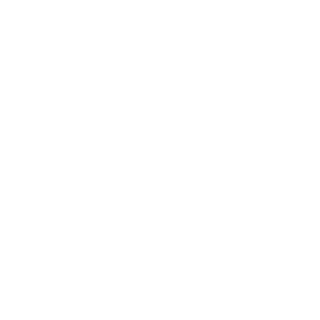 bazinga-D30's emblem