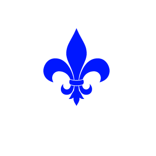 zVipeerF0rc3's emblem