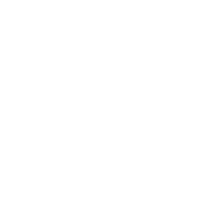 techno290's emblem