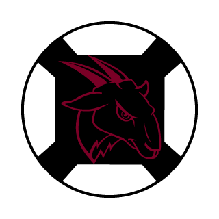 babul1vo's emblem