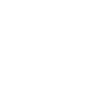 DANTOS_BOSS's emblem
