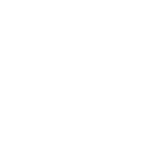 030gipsy's emblem