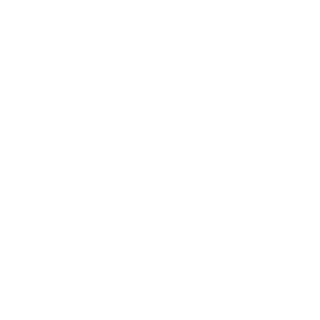 bink-80's emblem