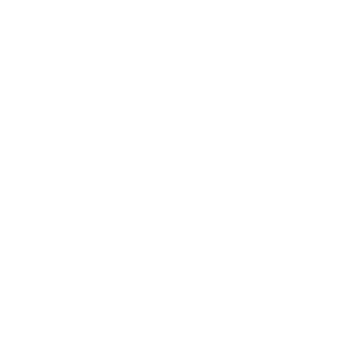 hagibaer2010's emblem
