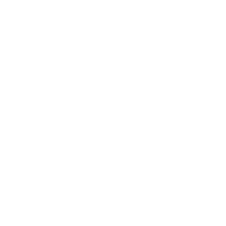 96636319's emblem