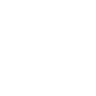 Hankes99's emblem