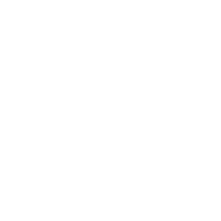 IP3NCE's emblem