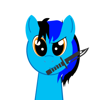 Sp1ffy4011's emblem