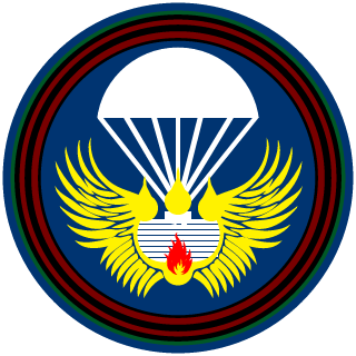 VDV Airman's emblem