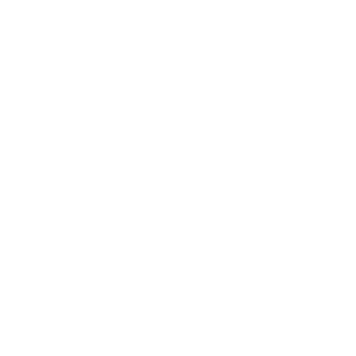 ZKHMOI's emblem