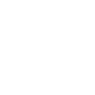 BINL4D3M's emblem
