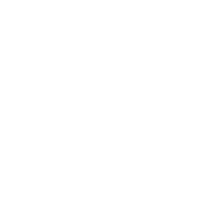 Stefan-SAABTAM's emblem
