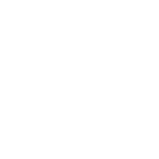 Wepnoize's emblem