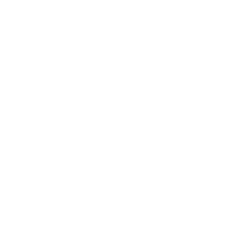 BugurtBullet's emblem