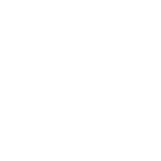 MegaSamsich's emblem