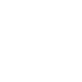 Noah9105's emblem
