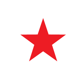 RAVAGER203's emblem