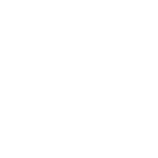 DruWolfie's emblem