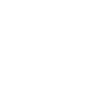 b9f9b81b5fbf88c2's emblem