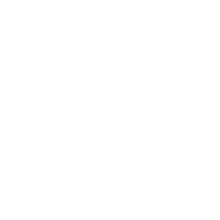 axelthefreeze's emblem