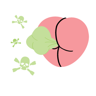 LoxPlay's emblem