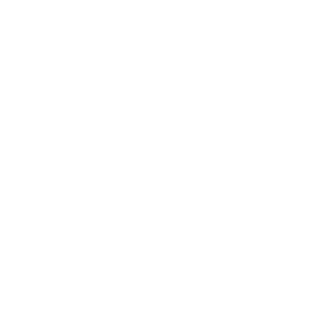 NebulousFox's emblem