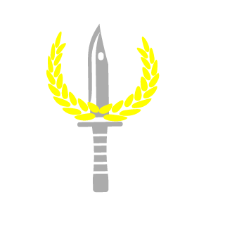 ValyN21's emblem