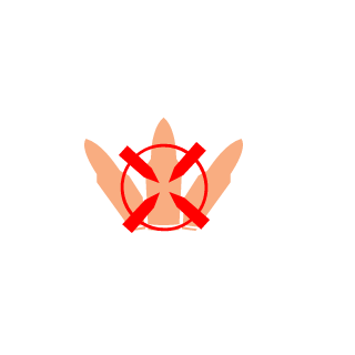 Peppi1282's emblem