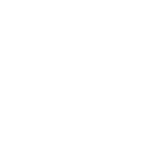 bccf7d46b51f45d3's emblem