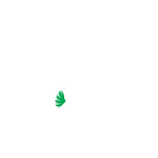 Blzlife's emblem