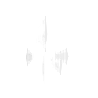 HAMSTER_FlSTER's emblem