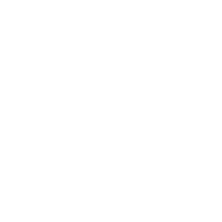 N7octis's emblem