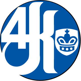 Four Kings's emblem