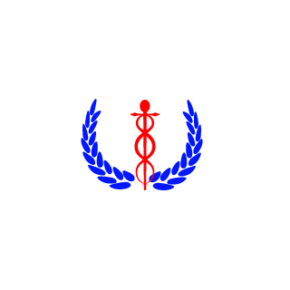 01dragon's emblem