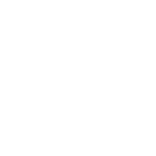 Carlosch550's emblem