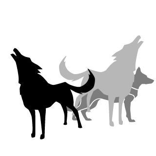 EvilNinetales's emblem