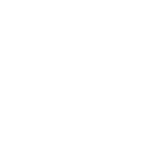 DudeAndrey's emblem