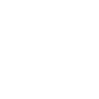 2016battle's emblem