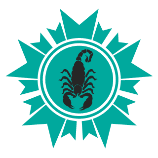 TaHeR_RaDWaN's emblem