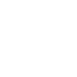 D5100's emblem