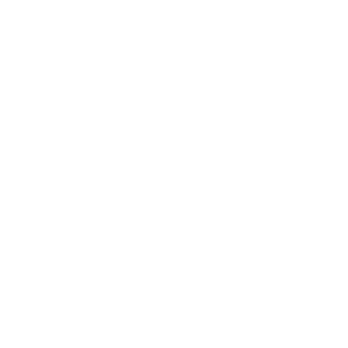 RegalCinemas12's emblem