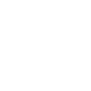 iLegoStyle's emblem