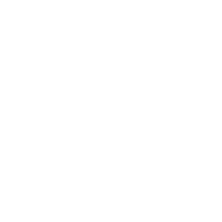 RaySwarnow's emblem