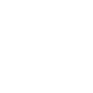 IJTheCuber's emblem