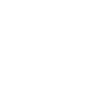 Ayyyyzbot's emblem