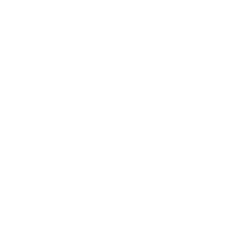 CopitoFly's emblem