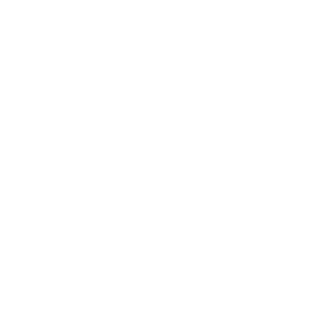 Duble Ace's emblem