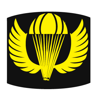 ildFast_34Rus's emblem
