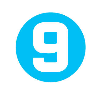 cirno19's emblem