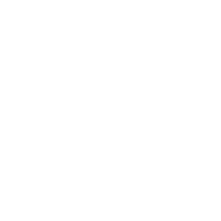 IronSmokeLTD's emblem